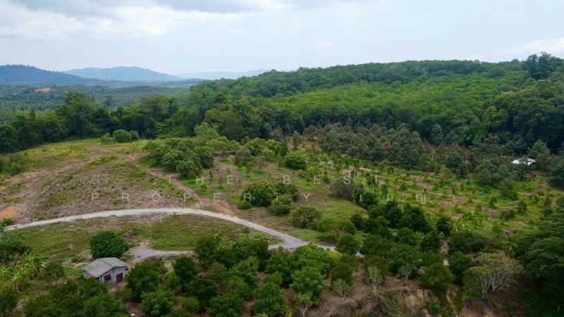ที่ดินขลุง จันทบุรี, Chanthaburi, Tok Phrom, Khlung, Chanthaburi, , 157,848 sqm, Land For Sale, by The Best Property เมญ่า, 500345595 - DDproperty.com