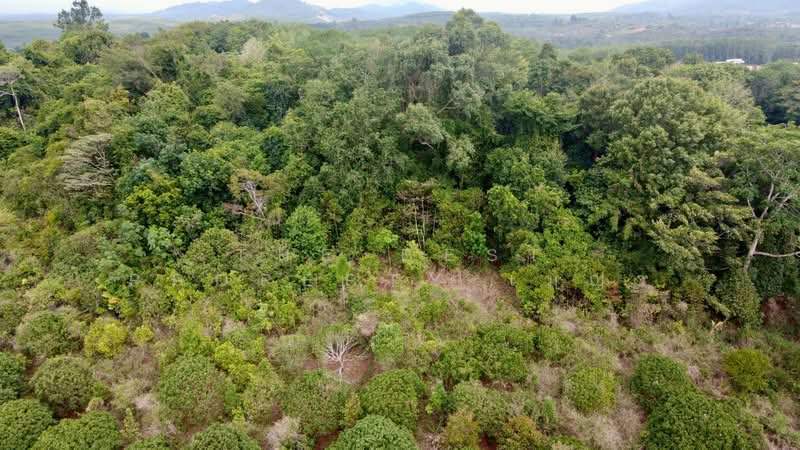 ที่ดินขลุง จันทบุรี, จันทบุรี, ตกพรม, ขลุง, จันทบุรี, 157,848 ตร.ม., ที่ดิน ขาย, โดย The Best Property เมญ่า, 500345595 - DDproperty.com