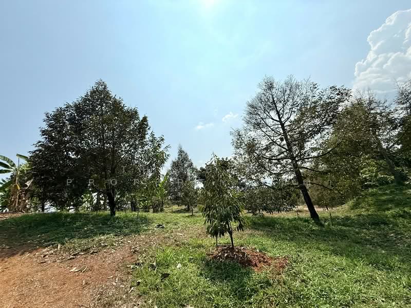 ที่ดินขลุง จันทบุรี, Chanthaburi, Tok Phrom, Khlung, Chanthaburi, , 157,848 sqm, Land For Sale, by The Best Property เมญ่า, 500345595 - DDproperty.com