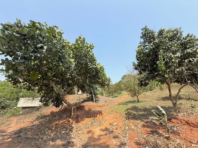 ที่ดินขลุง จันทบุรี, จันทบุรี, ตกพรม, ขลุง, จันทบุรี, 157,848 ตร.ม., ที่ดิน ขาย, โดย The Best Property เมญ่า, 500345595 - DDproperty.com