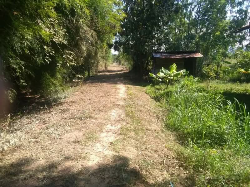 ที่ดินวังทอง พิษณุโลก, Phitsanulok, Tha Mun Ram, Wang Thong, Phitsanulok, , 8,152 sqm, Land For Sale, by The Best Property โอ, 500345621 - DDproperty.com