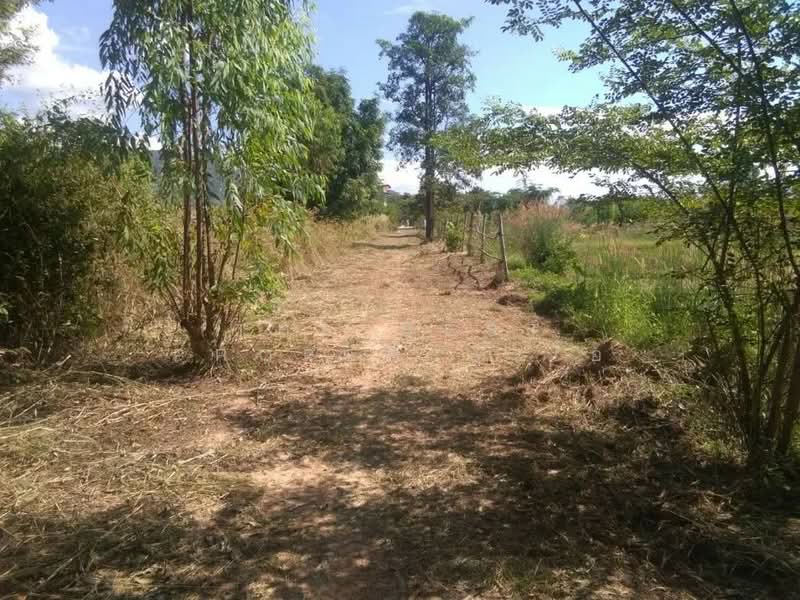 ที่ดินวังทอง พิษณุโลก, พิษณุโลก, ท่าหมื่นราม, วังทอง, พิษณุโลก, 8,152 ตร.ม., ที่ดิน ขาย, โดย The Best Property โอ, 500345621 - DDproperty.com