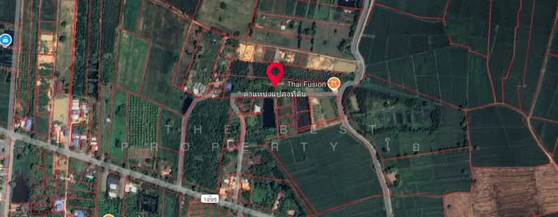 ที่ดินวังทอง พิษณุโลก, Phitsanulok, Tha Mun Ram, Wang Thong, Phitsanulok, , 8,152 sqm, Land For Sale, by The Best Property โอ, 500345621 - DDproperty.com