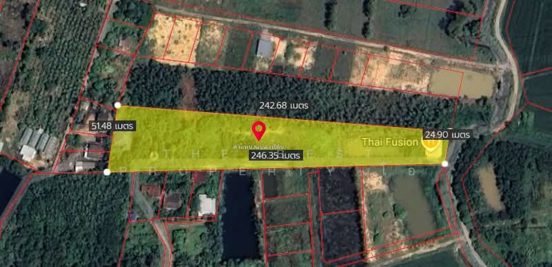ที่ดินวังทอง พิษณุโลก, พิษณุโลก, ท่าหมื่นราม, วังทอง, พิษณุโลก, 8,152 ตร.ม., ที่ดิน ขาย, โดย The Best Property โอ, 500345621 - DDproperty.com