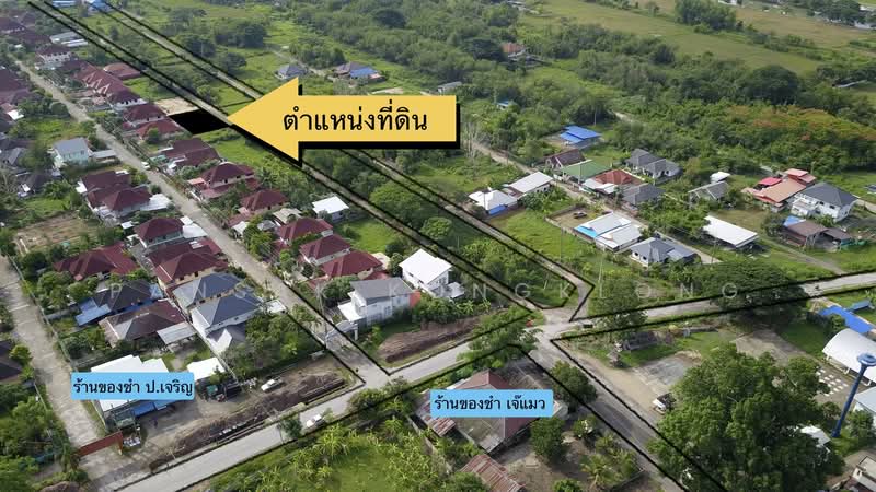 50180, เชียงใหม่, สันโป่ง, แม่ริม, เชียงใหม่, 288 ตร.ม., ที่ดิน ขาย, โดย Pansak Kongklong, 500345679 - DDproperty.com