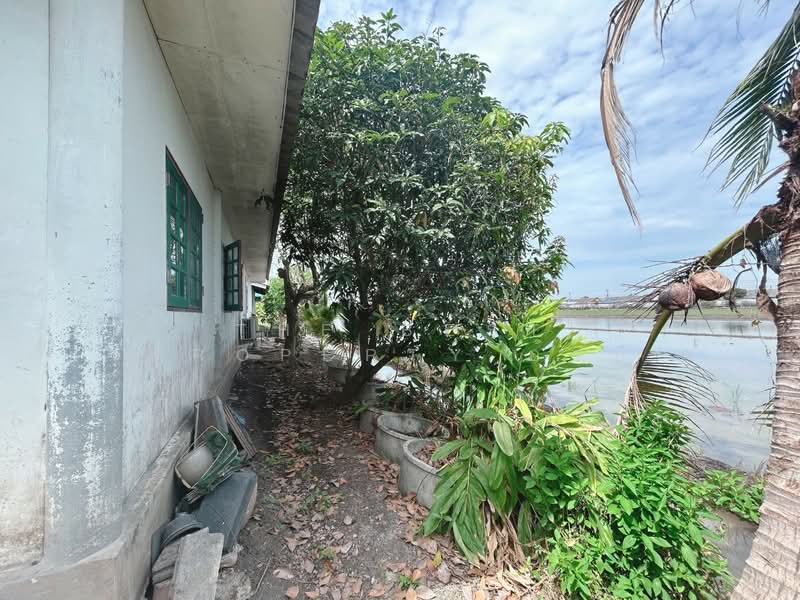 ที่ดินพร้อมสิ่งปลูกสร้างลาดหลุมแก้ว ปทุมธานี, Pathum Thani, Lat Lum Kaeo, Pathum Thani, , 400 sqm, Land For Sale, by The Best Property อ้อย, 500345702 - DDproperty.com