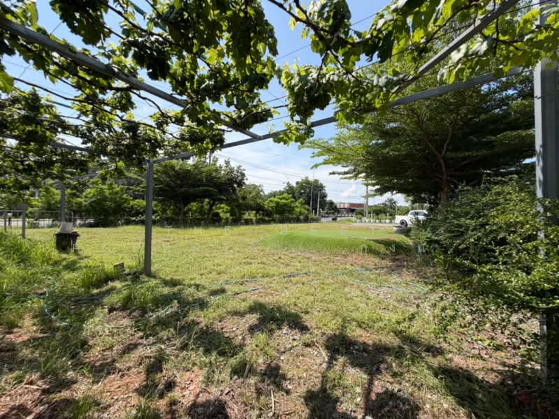 ที่ดินหัวนา หนองบัวลำภู, หนองบัวลำภู, หัวนา, เมืองหนองบัวลำภู, หนองบัวลำภู, 10,744 ตร.ม., ที่ดิน ขาย, โดย The Best Property   กุ้งแก้ว, 500345739 - DDproperty.com