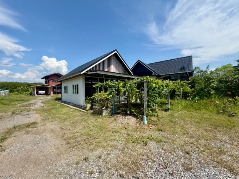 ที่ดินหัวนา หนองบัวลำภู, หนองบัวลำภู, หัวนา, เมืองหนองบัวลำภู, หนองบัวลำภู, 10,744 ตร.ม., ที่ดิน ขาย, โดย The Best Property   กุ้งแก้ว, 500345739 - DDproperty.com