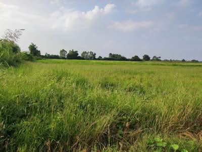ขาย - ที่ดินเมืองเก่า พิจิตร, พิจิตร