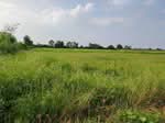 ที่ดินเมืองเก่า พิจิตร, พิจิตร
