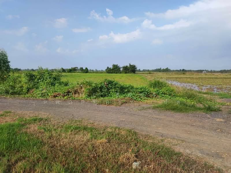 ที่ดินเมืองเก่า พิจิตร, Phichit, Muang Kao, Muang Phichit, Phichit, , 41,264 sqm, Land For Sale, by The Best Property ปัต, 500345798 - DDproperty.com