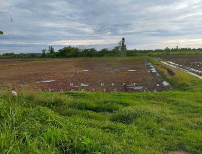 ที่ดินเมืองเก่า พิจิตร, Phichit, Muang Kao, Muang Phichit, Phichit, , 41,264 sqm, Land For Sale, by The Best Property ปัต, 500345798 - DDproperty.com