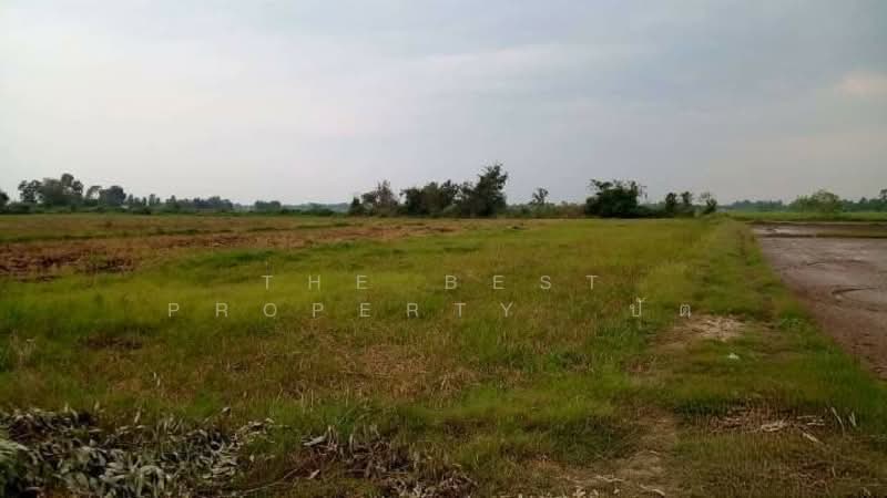 ที่ดินเมืองเก่า พิจิตร, Phichit, Muang Kao, Muang Phichit, Phichit, , 41,264 sqm, Land For Sale, by The Best Property ปัต, 500345798 - DDproperty.com