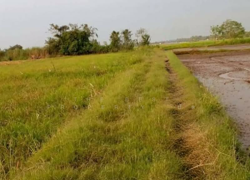 ที่ดินเมืองเก่า พิจิตร, Phichit, Muang Kao, Muang Phichit, Phichit, , 41,264 sqm, Land For Sale, by The Best Property ปัต, 500345798 - DDproperty.com