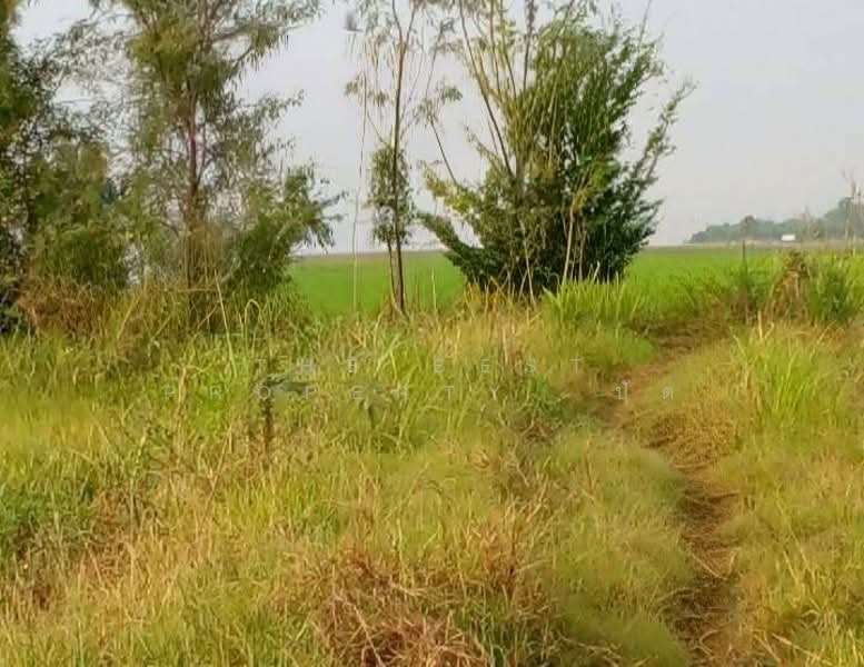 ที่ดินเมืองเก่า พิจิตร, พิจิตร, เมืองเก่า, เมืองพิจิตร, พิจิตร, 41,264 ตร.ม., ที่ดิน ขาย, โดย The Best Property  ปัต, 500345798 - DDproperty.com