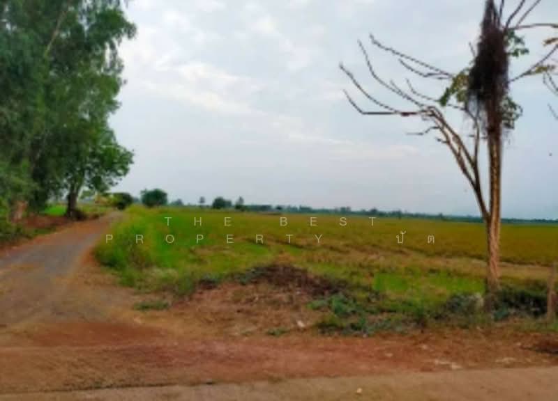 ที่ดินเมืองเก่า พิจิตร, Phichit, Muang Kao, Muang Phichit, Phichit, , 41,264 sqm, Land For Sale, by The Best Property ปัต, 500345798 - DDproperty.com