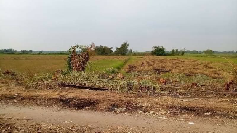 ที่ดินเมืองเก่า พิจิตร, Phichit, Muang Kao, Muang Phichit, Phichit, , 41,264 sqm, Land For Sale, by The Best Property ปัต, 500345798 - DDproperty.com