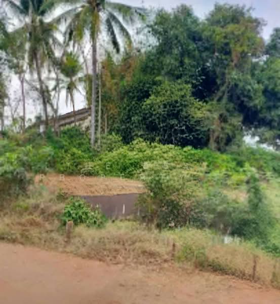ที่ดินเมืองเก่า พิจิตร, Phichit, Muang Kao, Muang Phichit, Phichit, , 41,264 sqm, Land For Sale, by The Best Property ปัต, 500345798 - DDproperty.com