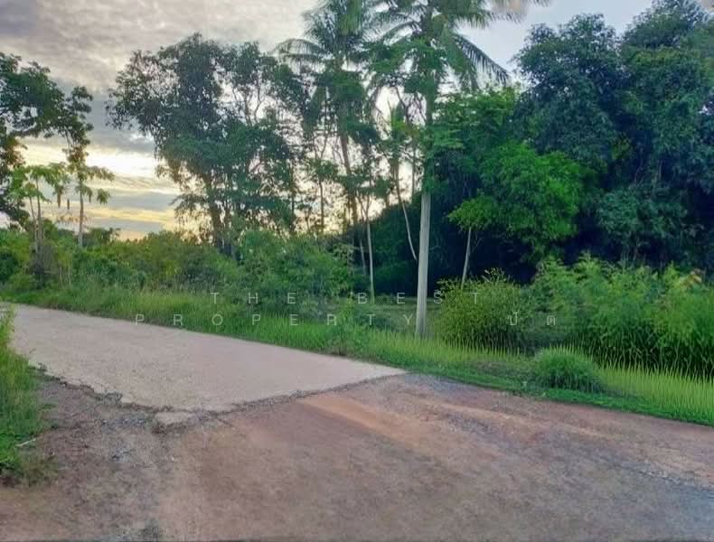 ที่ดินเมืองเก่า พิจิตร, พิจิตร, เมืองเก่า, เมืองพิจิตร, พิจิตร, 41,264 ตร.ม., ที่ดิน ขาย, โดย The Best Property  ปัต, 500345798 - DDproperty.com