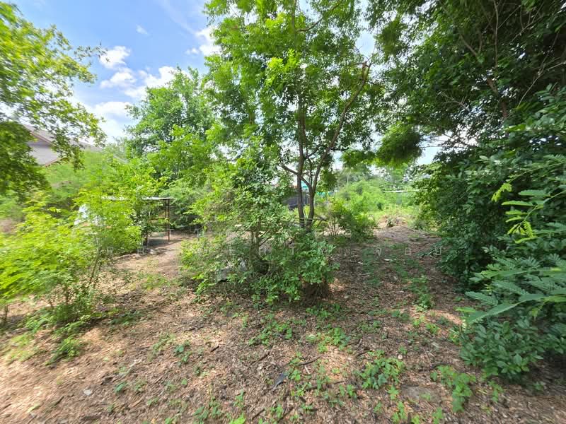 ที่ดินสามพราน นครปฐม, Nakhon Pathom, Khlong Mai, Sam Phran, Nakhon Pathom, , 240 sqm, Land For Sale, by The Best Property จอย, 500345827 - DDproperty.com