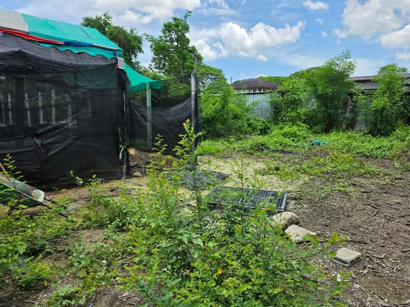 ที่ดินสามพราน นครปฐม, Nakhon Pathom, Khlong Mai, Sam Phran, Nakhon Pathom, , 240 sqm, Land For Sale, by The Best Property จอย, 500345827 - DDproperty.com