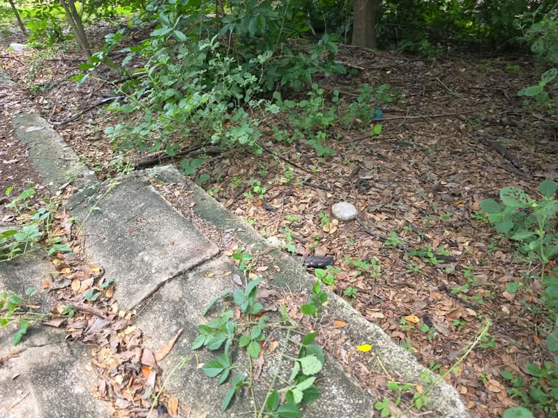 ที่ดินสามพราน นครปฐม, Nakhon Pathom, Khlong Mai, Sam Phran, Nakhon Pathom, , 240 sqm, Land For Sale, by The Best Property จอย, 500345827 - DDproperty.com