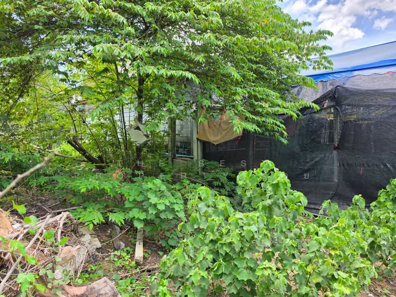 ที่ดินสามพราน นครปฐม, Nakhon Pathom, Khlong Mai, Sam Phran, Nakhon Pathom, , 240 sqm, Land For Sale, by The Best Property จอย, 500345827 - DDproperty.com