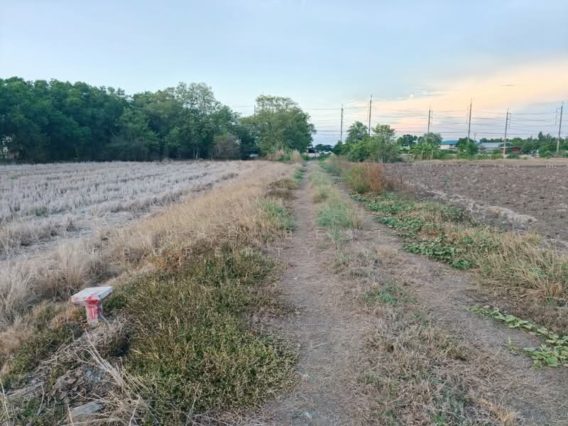 ที่ดินบางขวัญ ฉะเชิงเทรา, Chachoengsao, Bang Khuan, Muang Chachoengsao, Chachoengsao, , 360 sqm, Land For Sale, by The Best Property ซายน์, 500345840 - DDproperty.com