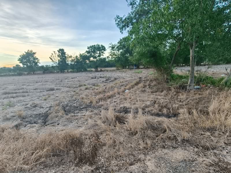 ที่ดินบางขวัญ ฉะเชิงเทรา, Chachoengsao, Bang Khuan, Muang Chachoengsao, Chachoengsao, , 360 sqm, Land For Sale, by The Best Property ซายน์, 500345840 - DDproperty.com