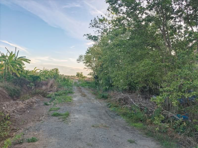 ที่ดินบางขวัญ ฉะเชิงเทรา, Chachoengsao, Bang Khuan, Muang Chachoengsao, Chachoengsao, , 360 sqm, Land For Sale, by The Best Property ซายน์, 500345840 - DDproperty.com