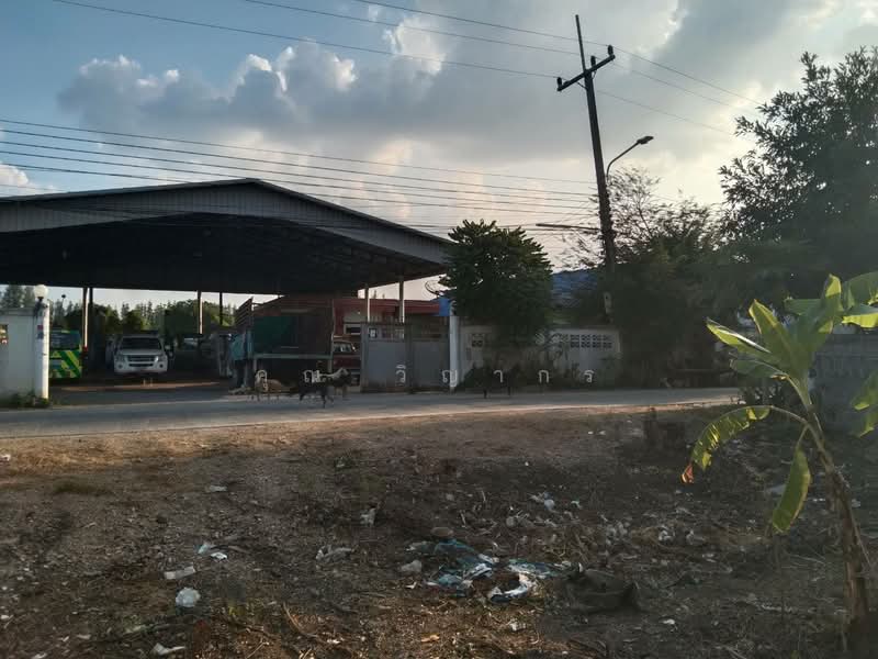 ขายที่ดิน พร้อมสิ่งปลูกสร้าง คลองสาม จังหวัดปทุมธานี, ปทุมธานี, คลองสาม, คลองหลวง, ปทุมธานี, 832 ตร.ม., ที่ดิน ขาย, โดย คุณ วิญากร, 500345880 - DDproperty.com