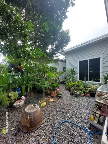 Inizio Rangsit-Klong 3, Pathum Thani, Liab Klong Sam Road, Khlong Sam, Khlong Luang, Pathum Thani, 4 Bedrooms, 106 sqm, Single Detached House For Sale, by สุภาวดี ประกายเกียรติกุล, 500345909 - DDproperty.com