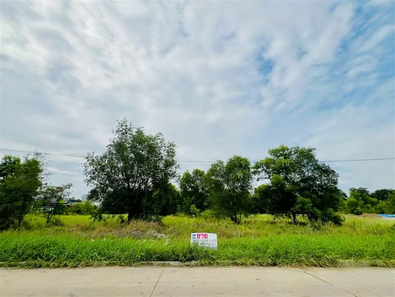 ที่ดินเปล่า 1 ไร่ 216 ตร.ว. หมู่บ้านเวิลด์คลับแลนด์, Pathum Thani, Khlong Sam, Khlong Luang, Pathum Thani, , 2,464 sqm, Land For Sale, by คุณ คทัยวรรณ เทียนเสม (พลอย), 500345921 - DDproperty.com