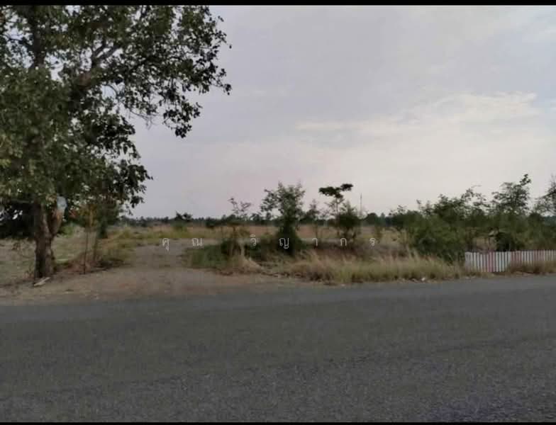 ขายที่ดิน ติดถนนใหญ่ ทางหลวงหมายเลข 2219 จังหวัดเพชรบูรณ์, Phetchabun, Si Thep, Si Thep, Phetchabun, , 16,880 sqm, Land For Sale, by คุณ วิญากร, 500346239 - DDproperty.com