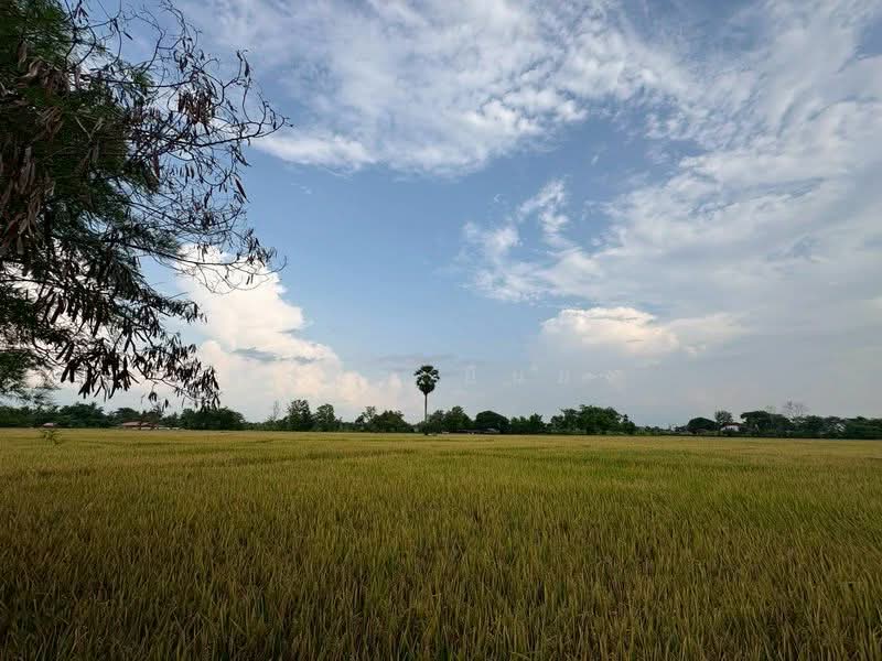 ขาย บ้านเดี่ยว โซนสันทราย, Chiang Mai, San Sai Luang, San Sai, Chiang Mai, 2 Bedrooms, 85 sqm, Single Detached House For Sale, by Armon Yuenyong, 500346286 - DDproperty.com
