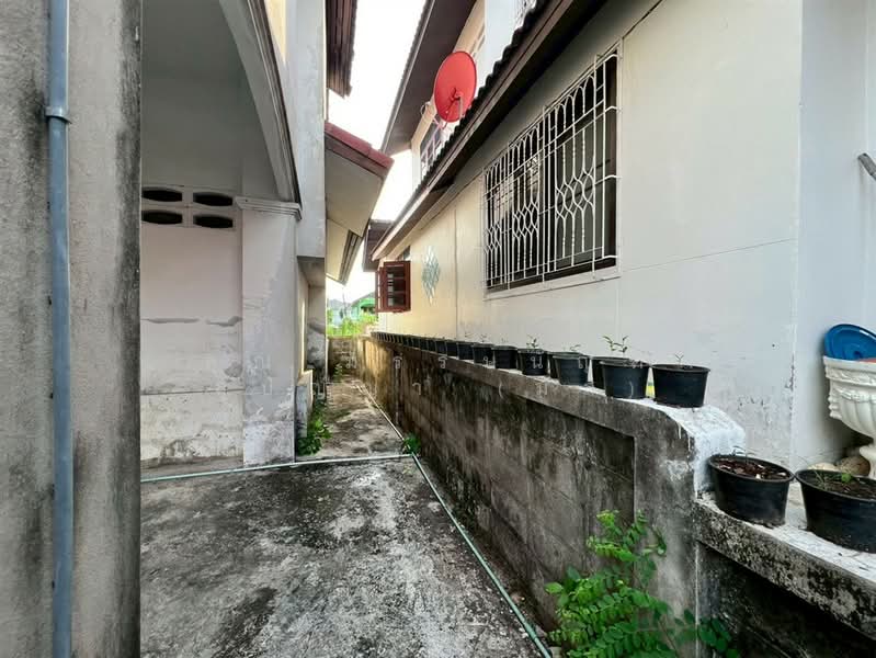 บ้านเดี่ยว 2 ชั้น 50 ตร.ว. บ้านเดี่ยว ซอยพุทธมณฑลสาย2 ซอย11, กรุงเทพ, ถนนพุทธมณฑลสาย2, บางไผ่, บางแค, กรุงเทพ, 200 ตร.ม., บ้านเดี่ยว ขาย, โดย คุณ มรรษนัญฑ์ สุปัญญา (มัส), 500346342 - DDproperty.com