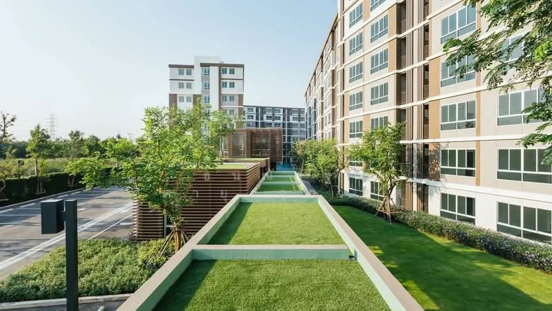 Dcondo Campus Dome-Rangsit, Pathum Thani, Khlong Luang - Chiang Rak Road, Khlong Nung, Khlong Luang, Pathum Thani, Studio, 30 sqm, Condo For Rent, by ธนณัฎฐ์ ศตายุสกุลวงศ์, 500346344 - DDproperty.com
