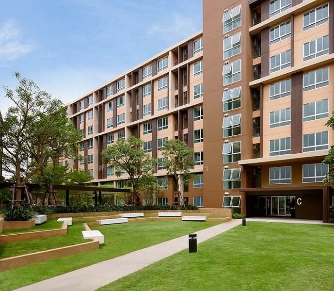Dcondo Campus Dome-Rangsit : ดีคอนโด แคมปัส โดม-รังสิต, ปทุมธานี, ถนนคลองหลวง-เชียงราก, คลองหนึ่ง, คลองหลวง, ปทุมธานี, 30 ตร.ม., คอนโด ให้เช่า, โดย ธนณัฎฐ์ ศตายุสกุลวงศ์, 500346344 - DDproperty.com