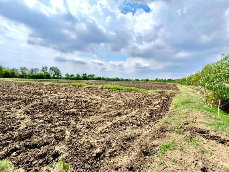 ที่ดินโคกสำโรง ลพบุรี, Lop Buri, Ko Kaeo, Khok Samrong, Lop Buri, , 42,264 sqm, Land For Sale, by The Best Property แอม, 500346423 - DDproperty.com