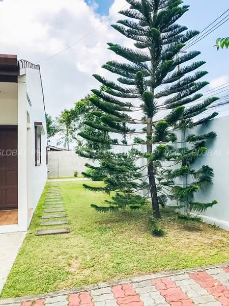 บ้านเดี่ยว, Phuket, Rawai, Muang Phuket, Phuket, 3 Bedrooms, 70 sqm, Single Detached House For Rent, by primeglobalasset bee, 500346482 - DDproperty.com