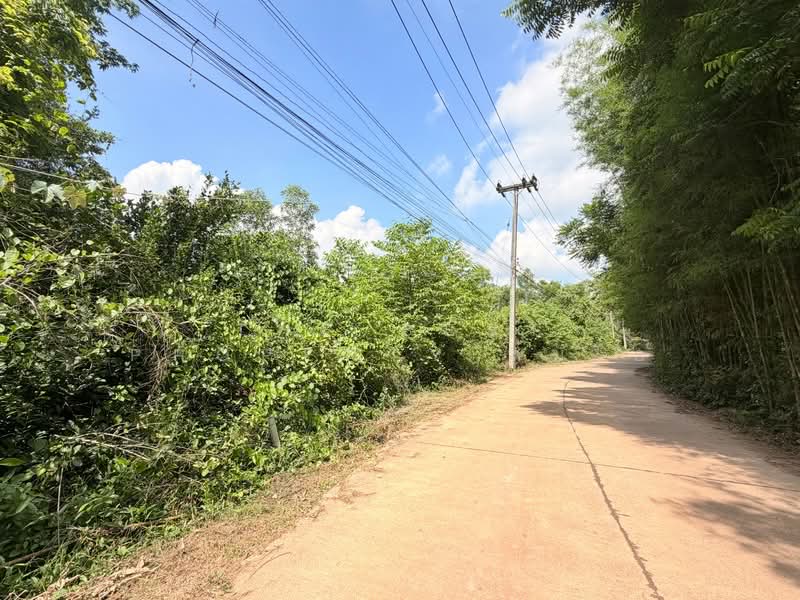 ที่ดินประจันตคาม ปราจีนบุรี, Prachin Buri, Dong Bang, Prachantakham, Prachin Buri, , 17,316 sqm, Land For Sale, by The Best Property ส้มโอ, 500346505 - DDproperty.com