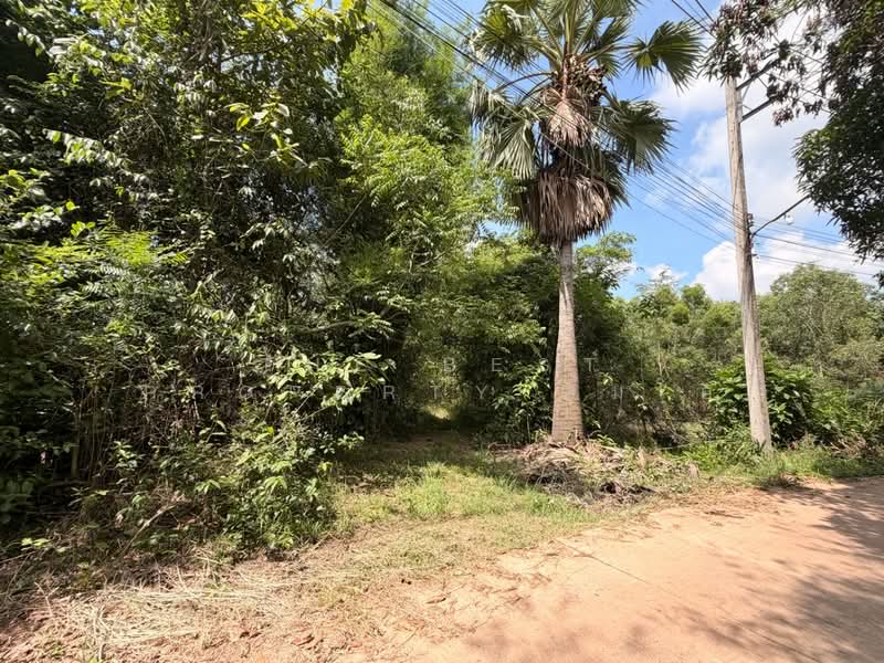ที่ดินประจันตคาม ปราจีนบุรี, Prachin Buri, Dong Bang, Prachantakham, Prachin Buri, , 17,316 sqm, Land For Sale, by The Best Property ส้มโอ, 500346505 - DDproperty.com