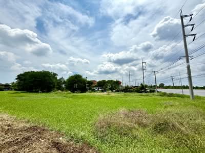 ขาย - ที่ดินโคกสำโรง ลพบุรี, ลพบุรี