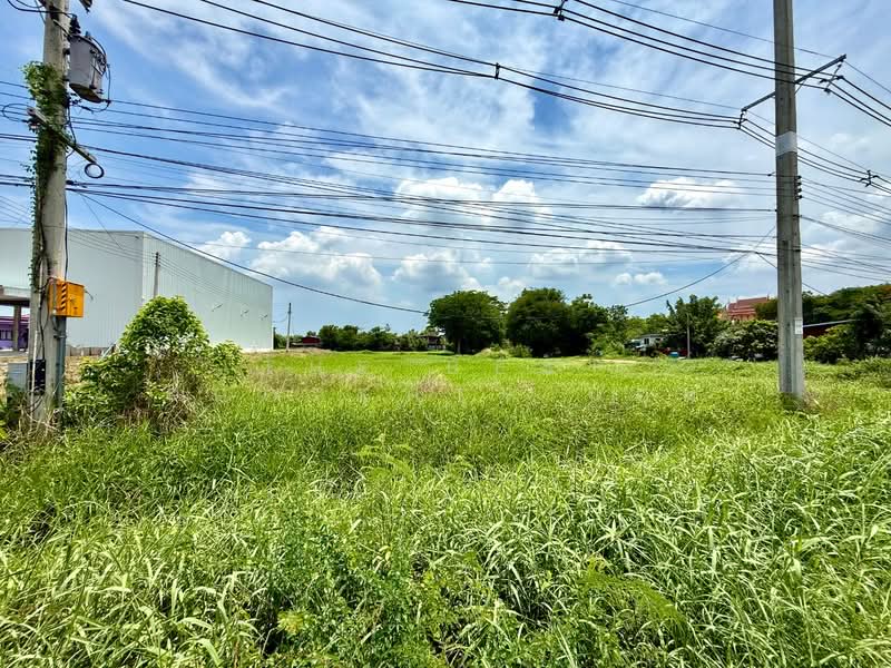 ที่ดินโคกสำโรง ลพบุรี, ลพบุรี, โคกสำโรง, ลพบุรี, 800 ตร.ม., ที่ดิน ขาย, โดย The Best Property แอม, 500346594 - DDproperty.com