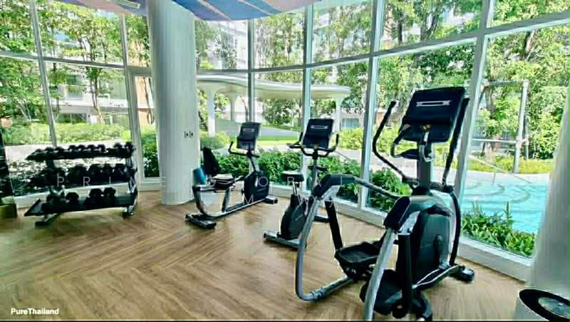 Phyll Phuket : ฟีล ภูเก็ต, ภูเก็ต, 9 หมู่ที่ 4 Muang Naka Rd, วิชิต, เมืองภูเก็ต, ภูเก็ต, 2 ตร.ม., คอนโด ให้เช่า, โดย Prime Global Asset (Mew), 500346601 - DDproperty.com