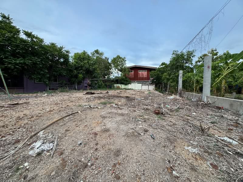 ที่ดินบางปะกง ฉะเชิงเทรา, Chachoengsao, Bang Samak, Bang Pakong, Chachoengsao, , 204 sqm, Land For Sale, by The Best Property  กีต้าร์, 500346605 - DDproperty.com