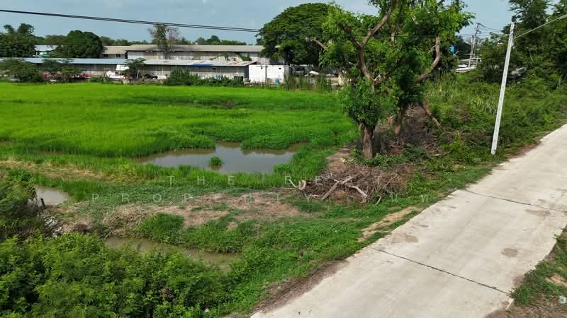 ที่ดินอุทัย พระนครศรีอยุธยา, Phra Nakhon Si Ayutthaya, Sam Bandit, Uthai, Phra Nakhon Si Ayutthaya, , 3,408 sqm, Land For Sale, by The Best Property รินทร์, 500346772 - DDproperty.com