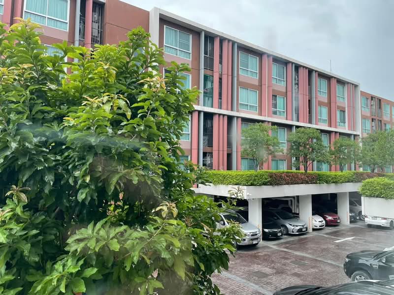 D Vieng Santitham, Chiang Mai, 66 Hussadhisawee Rd, Chang Phuak, Muang Chiang Mai, Chiang Mai, 1 Bedroom, 38 sqm, Condo For Sale, by วราพร ตางจงราช, 500346797 - DDproperty.com