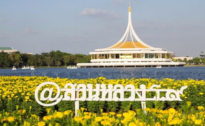 Baan Suansauy บ้านสวนสวย, กรุงเทพ, เฉลิมพระเกียรติ 32, หนองบอน, ประเวศ, กรุงเทพ, 150 ตร.ม., บ้านเดี่ยว ให้เช่า, โดย อัญญาภรณ์ วิษณุรัก, 500346841 - DDproperty.com