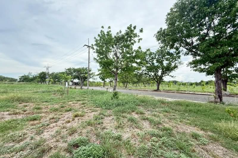 Vichitra Thani Bangna-Trad, Chachoengsao, Baan Tawan Oak Road, Bang Samak, Bang Pakong, Chachoengsao, , 848 sqm, Land For Sale, by สง่าชัย ไทรทองคำ, 500346866 - DDproperty.com